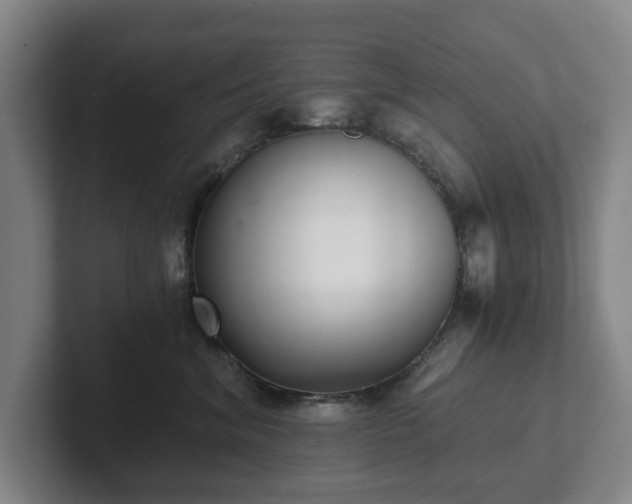 X0000101950620200807251136