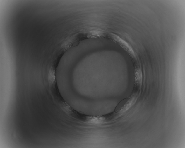 X0000101950621200807251136