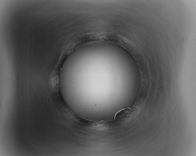 X0000101950624200807251136