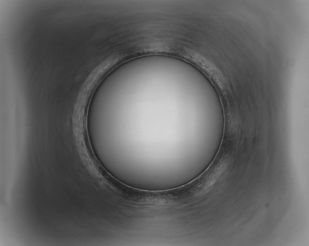 X0000101950625200807251135