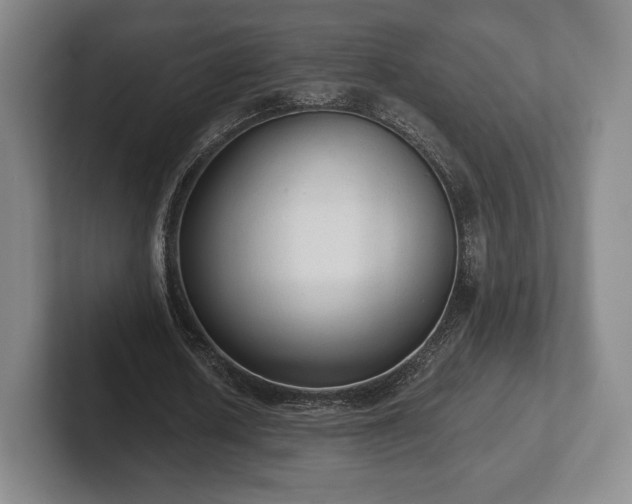 X0000101950626200807251135