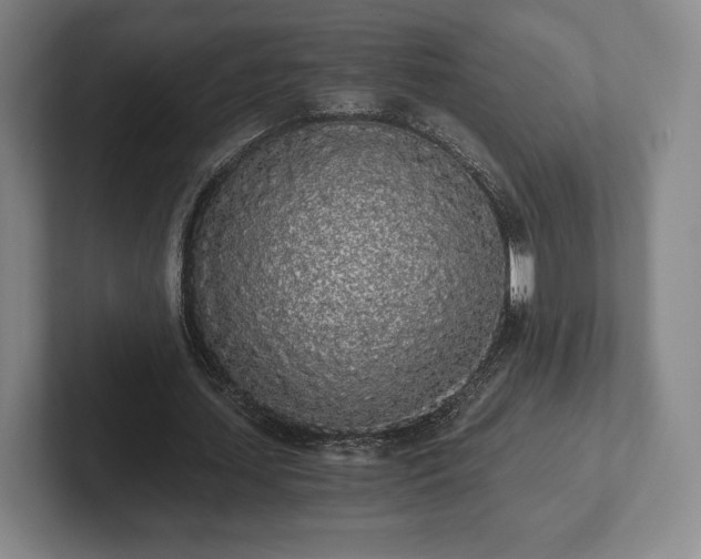 X0000101950627200807251135