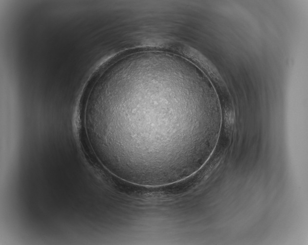 X0000101950628200807251135