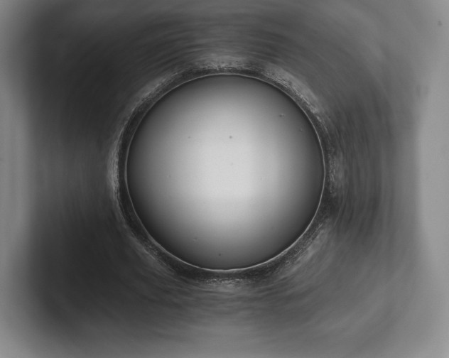 X0000101950629200807251135