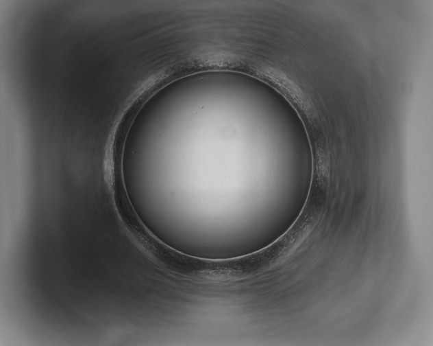 X0000101950630200807251135