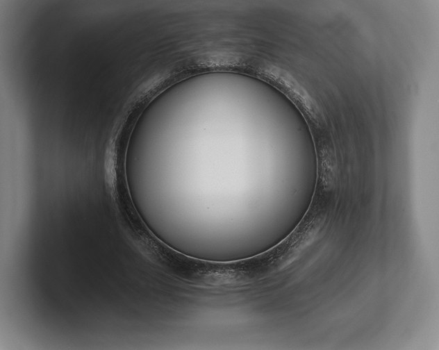 X0000101950631200807251135