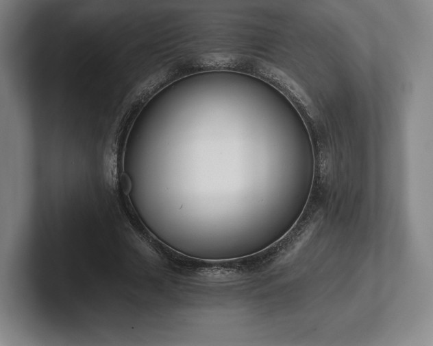 X0000101950633200807251135