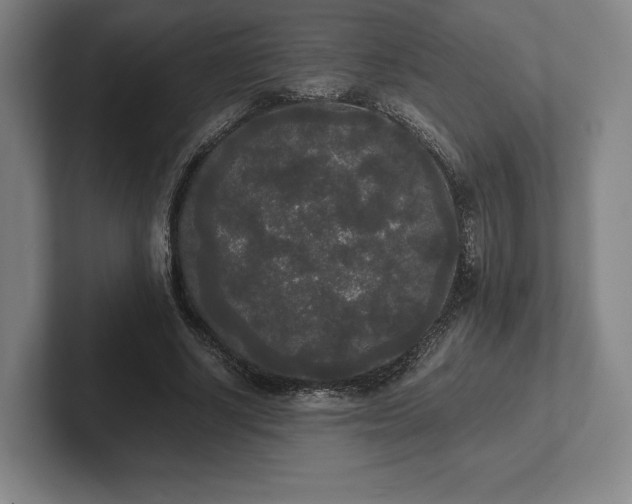 X0000101950634200807251135