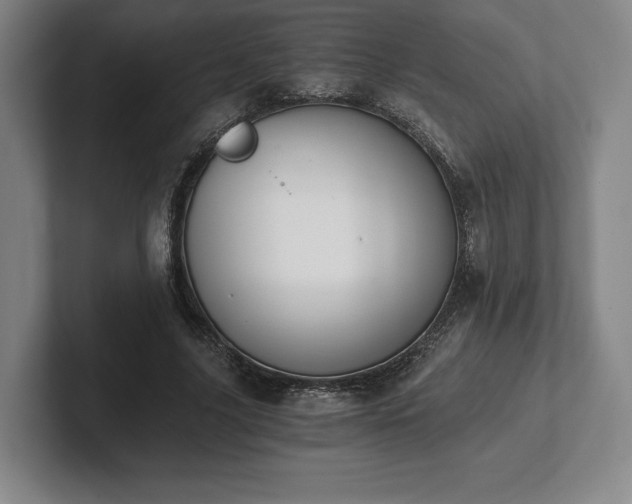 X0000101950635200807251135