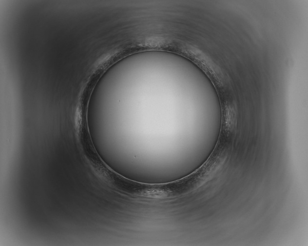 X0000101950636200807251135