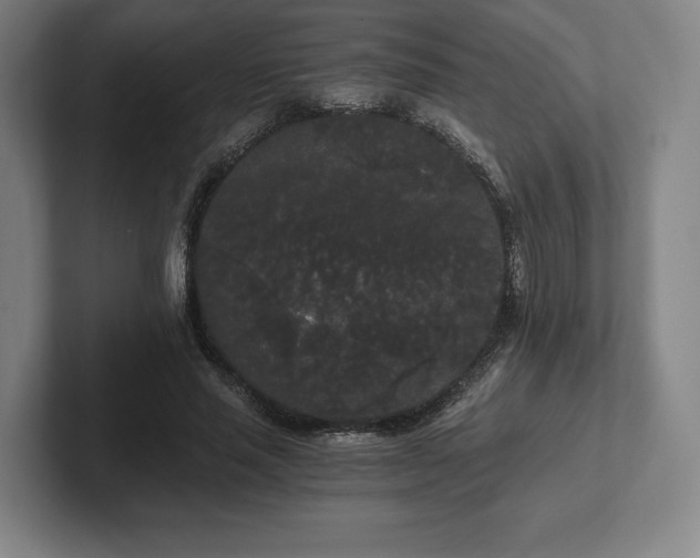 X0000101950637200807251135