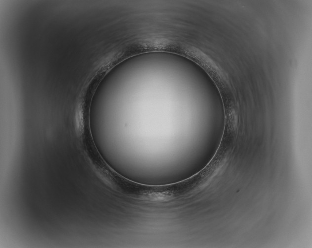 X0000101950638200807251135