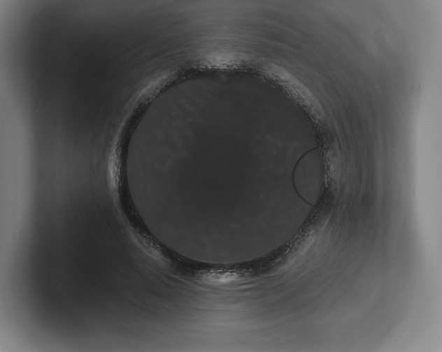 X0000101950640200807251135