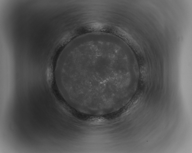 X0000101950642200807251135