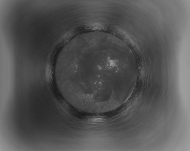 X0000101950643200807251135