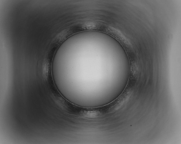 X0000101950645200807251135