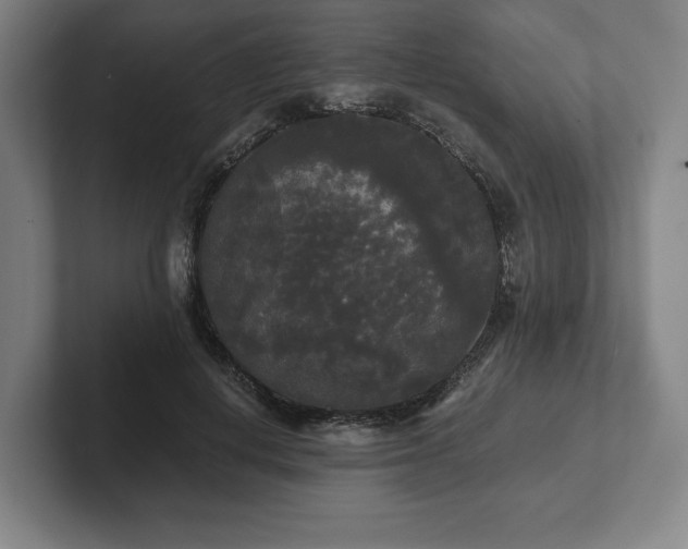 X0000101950648200807251135