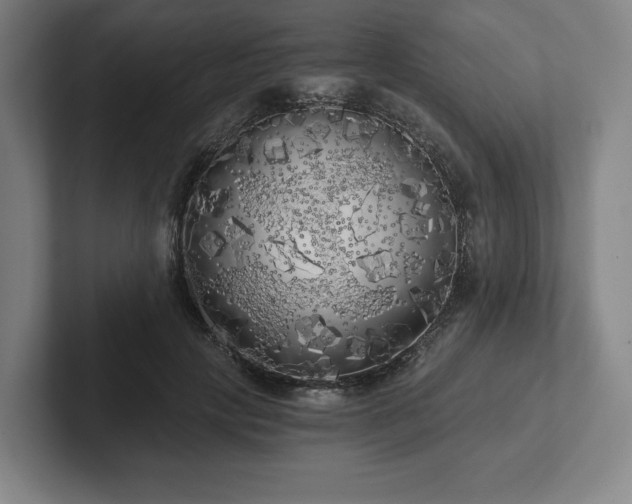 X0000101950649200807251135