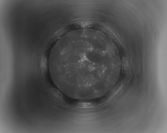 X0000101950650200807251135