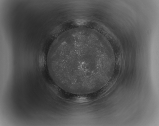 X0000101950651200807251135