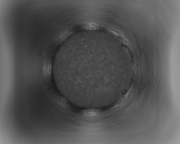 X0000101950652200807251135