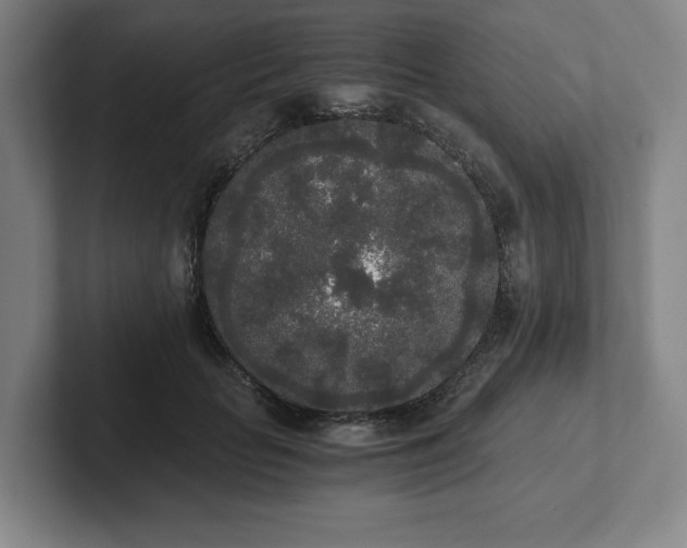 X0000101950653200807251135