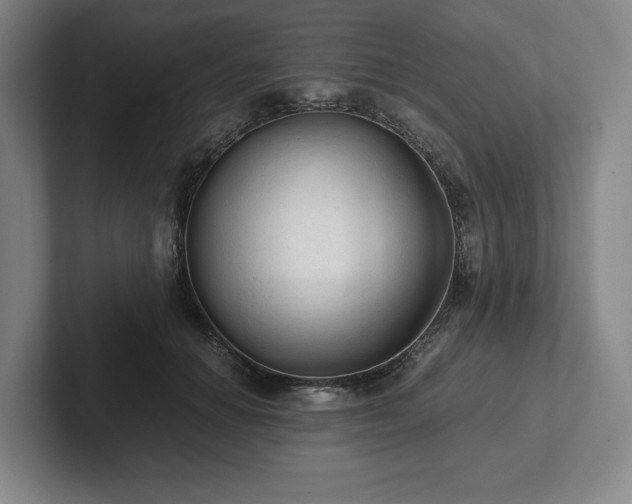 X0000101950654200807251135