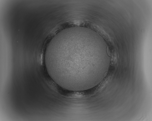 X0000101950656200807251135