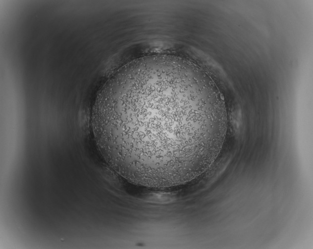 X0000101950657200807251135