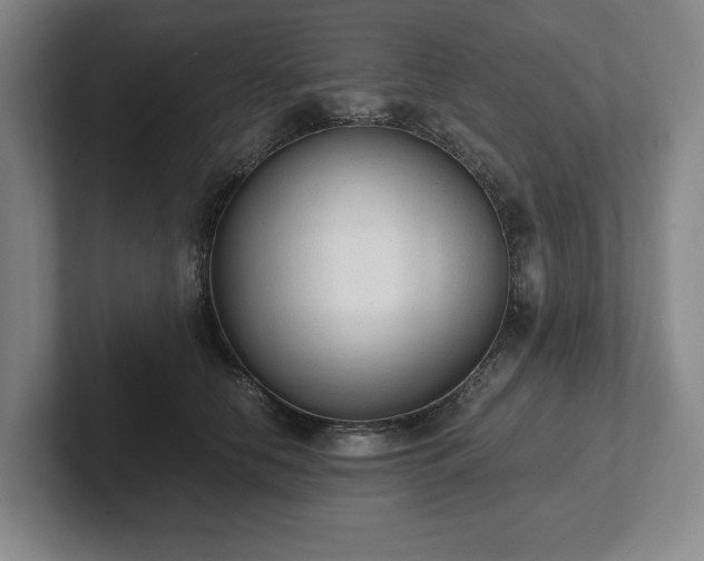 X0000101950658200807251135