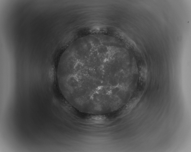 X0000101950659200807251135