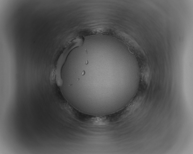 X0000101950660200807251135