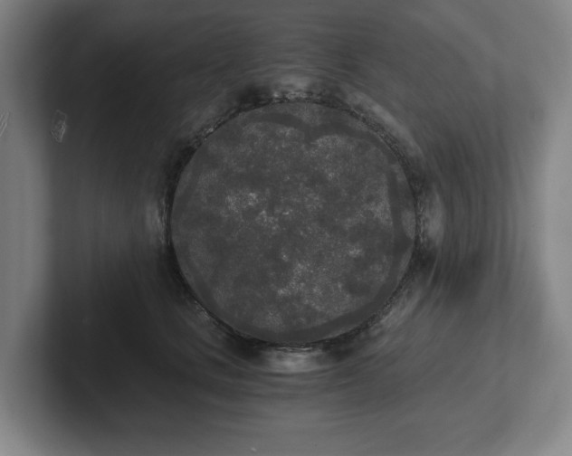 X0000101950661200807251135