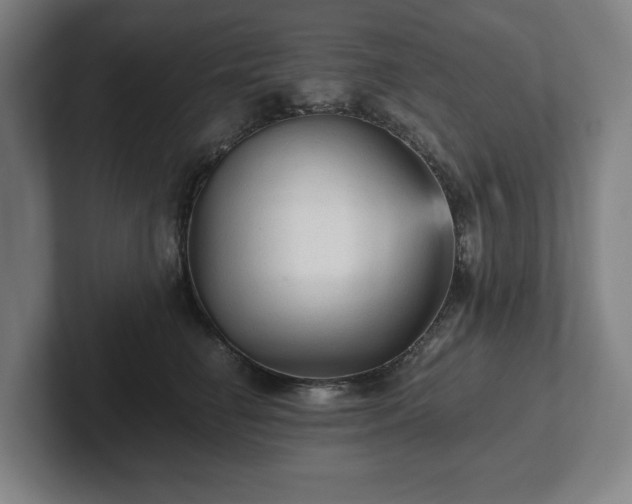 X0000101950662200807251135