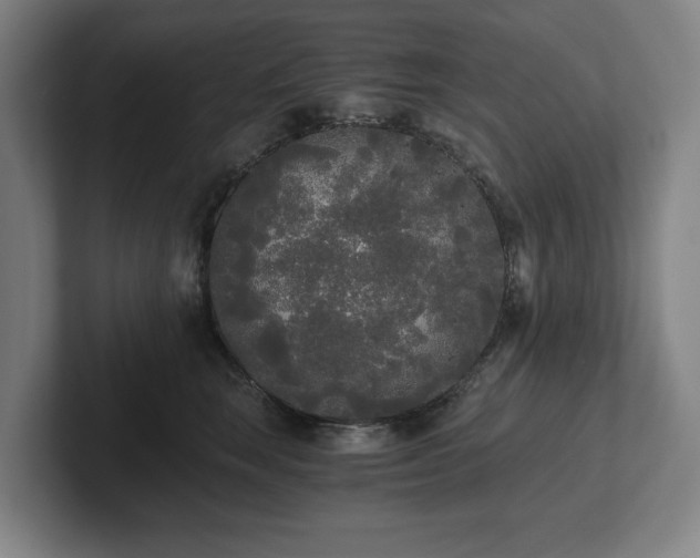 X0000101950663200807251135