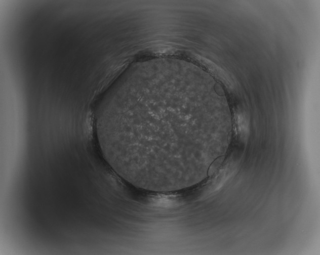 X0000101950664200807251135