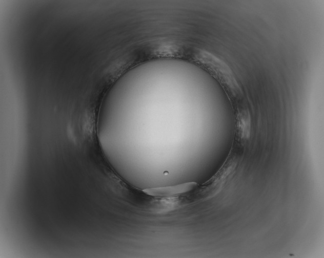 X0000101950665200807251135