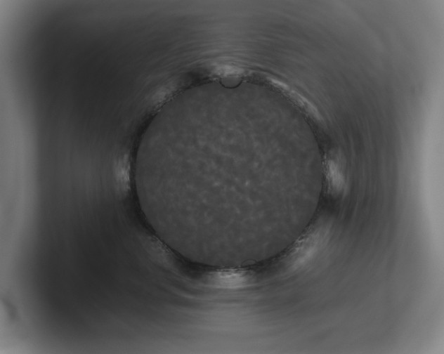 X0000101950668200807251135