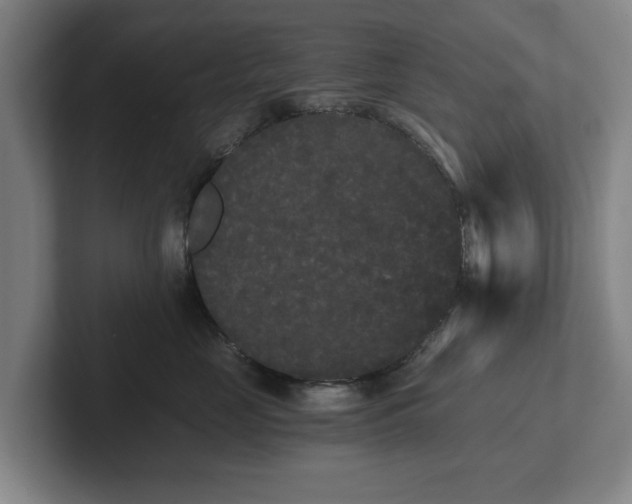 X0000101950669200807251135