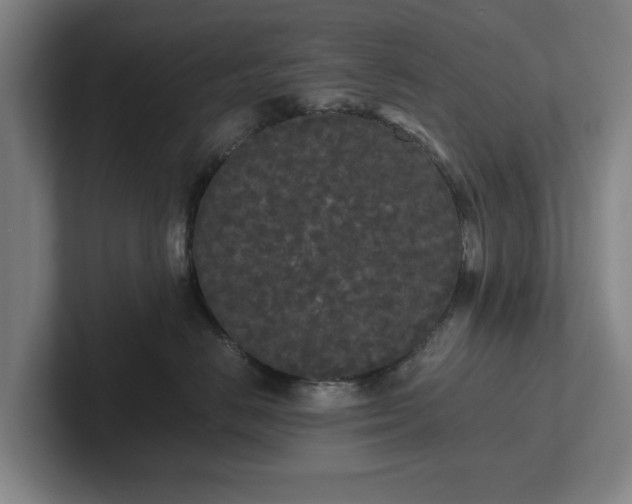 X0000101950670200807251135