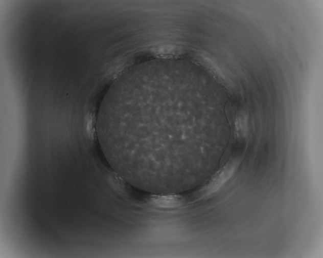 X0000101950671200807251135