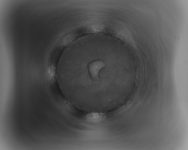 X0000101950672200807251136