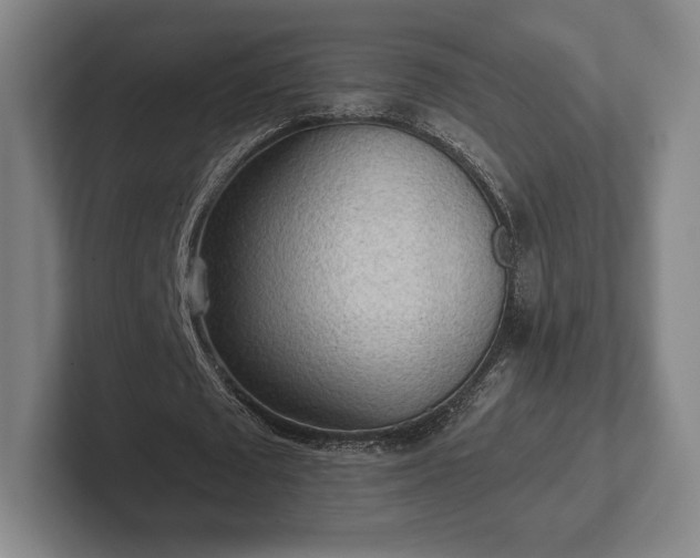 X0000101950673200807251135