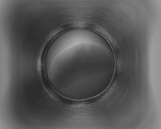 X0000101950674200807251135