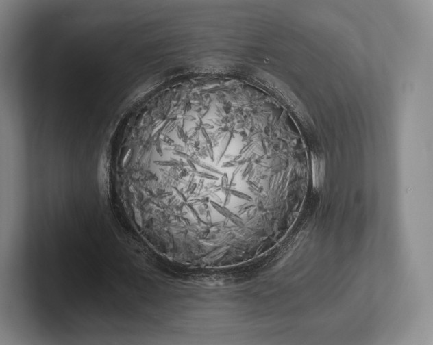 X0000101950675200807251135
