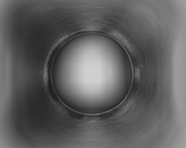 X0000101950676200807251135