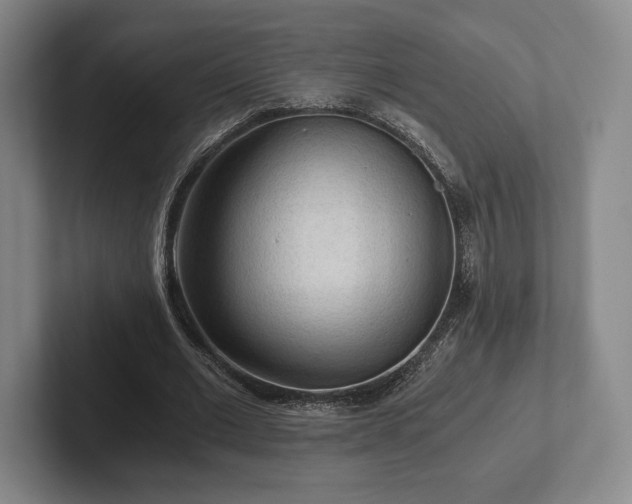 X0000101950677200807251135