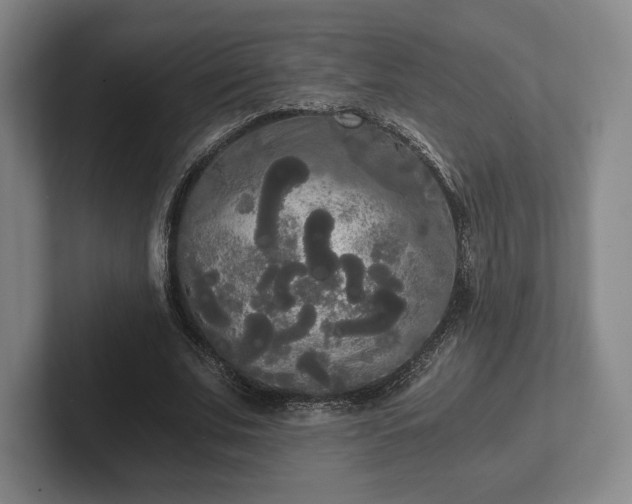 X0000101950679200807251135