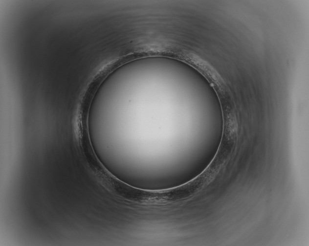 X0000101950680200807251135