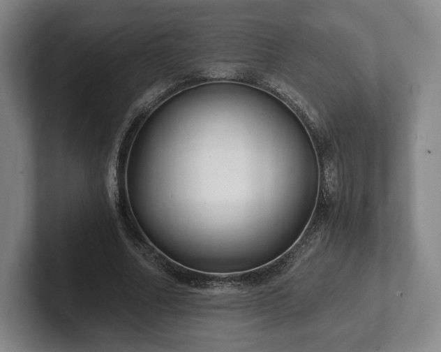 X0000101950682200807251135